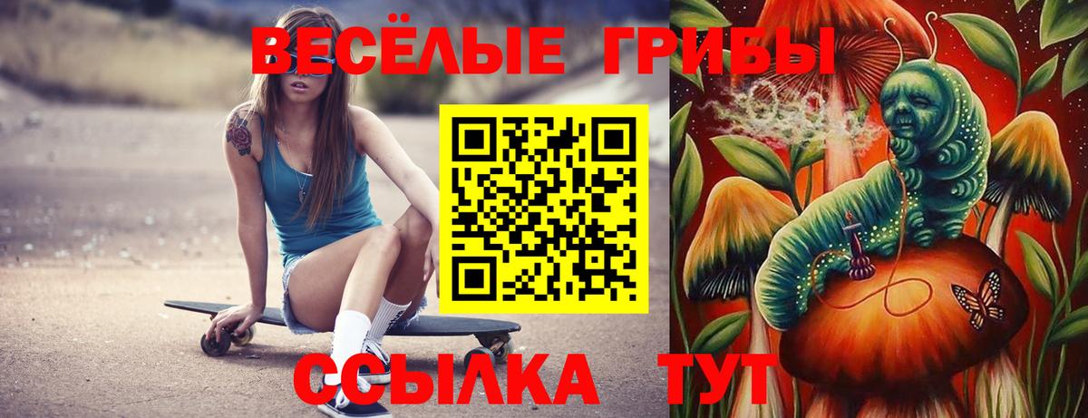 наркошоп  Вход с VPN  Псилоцибиновые грибы мухоморы  Кудымкар  Псилоцибиновые грибы Psilocybe 