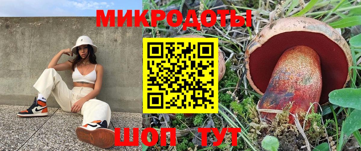 Галлюциногенные грибы мицелий Кудымкар